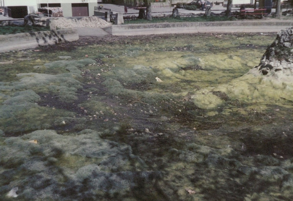Bild01.jpg